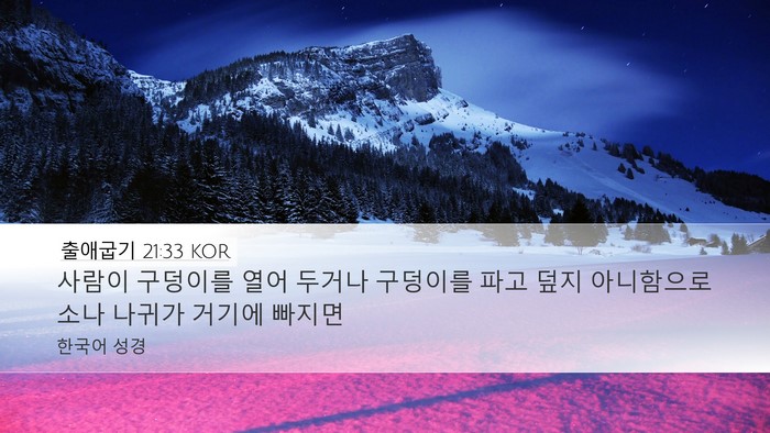 출애굽기 21:33 KOR Bible Verse Image