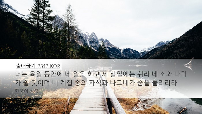 출애굽기 23:12 KOR Bible Verse Image