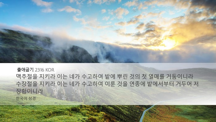 출애굽기 23:16 KOR Bible Verse Image