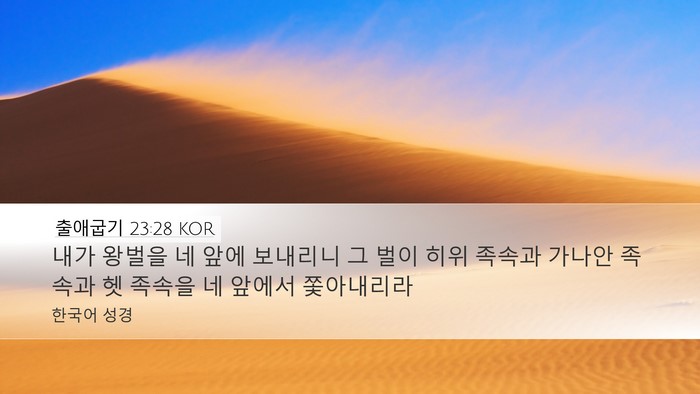 출애굽기 23:28 KOR Bible Verse Image