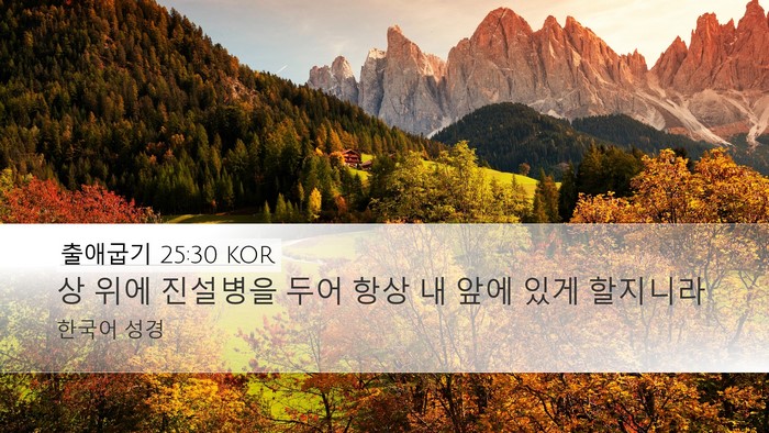 출애굽기 25:30 KOR Bible Verse Image