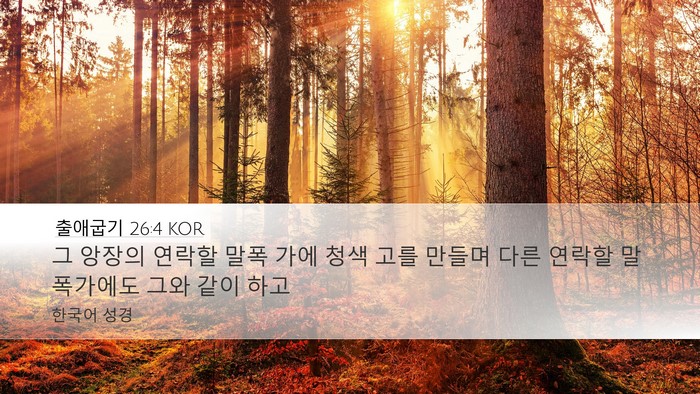 출애굽기 26:4 KOR Desktop Wallpaper - 그 앙장의 연락할 말폭 가에 청색 - Desktop Bible Verse Wallpaper