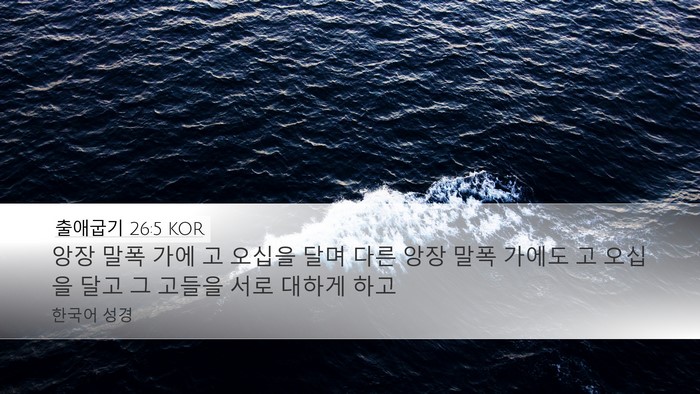 출애굽기 26:5 KOR Desktop Wallpaper - 앙장 말폭 가에 고 오십을 달며 다른 - Desktop Bible Verse Wallpaper
