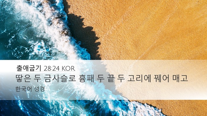 출애굽기 28:24 KOR Bible Verse Image