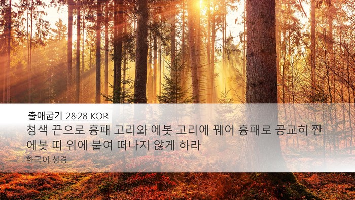 출애굽기 28:28 KOR Bible Verse Image