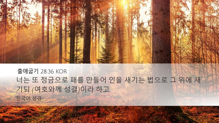출애굽기 28:36 KOR Bible Verse Image