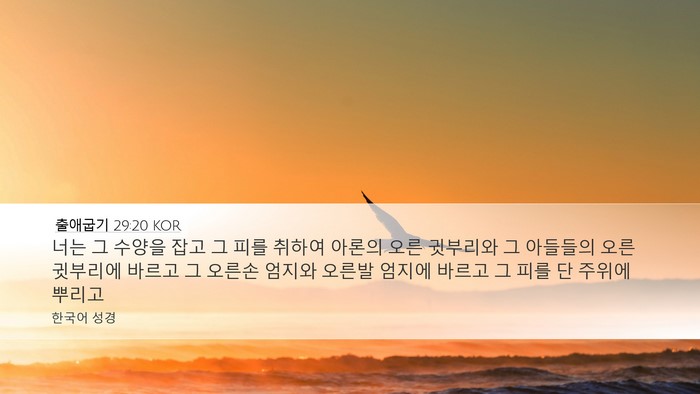 출애굽기 29:20 KOR Bible Verse Image