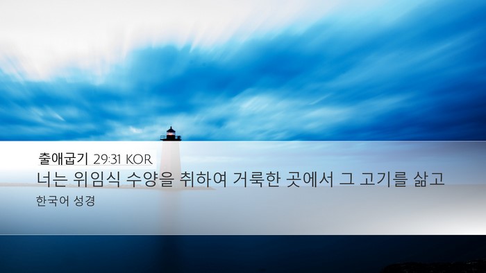 출애굽기 29:31 KOR Bible Verse Image
