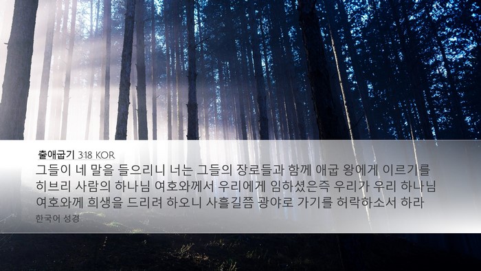 출애굽기 3:18 KOR Bible Verse Image