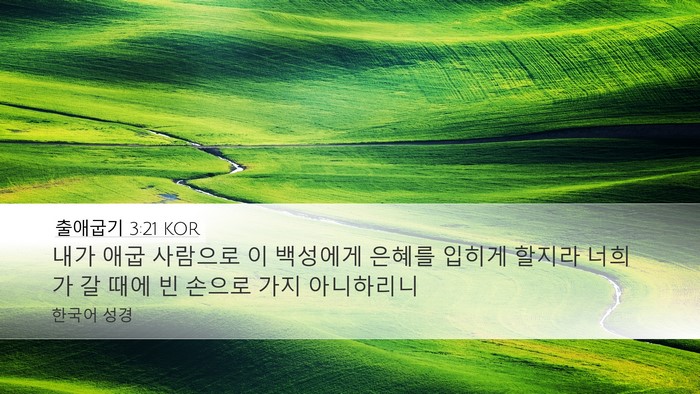 출애굽기 3:21 KOR Bible Verse Image