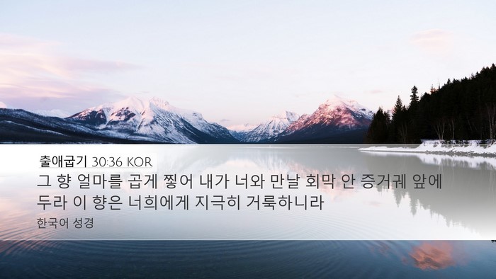 출애굽기 30:36 KOR Bible Verse Image