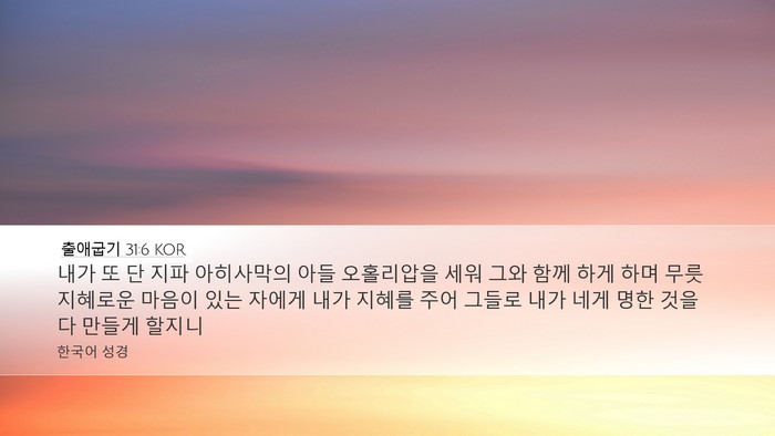 출애굽기 31:6 KOR Bible Verse Image