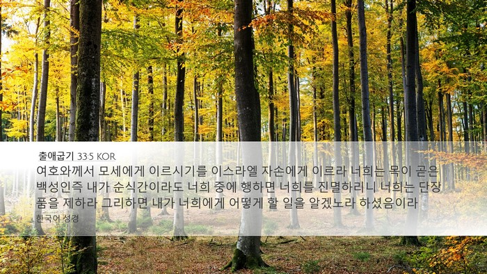 출애굽기 33:5 KOR Bible Verse Image