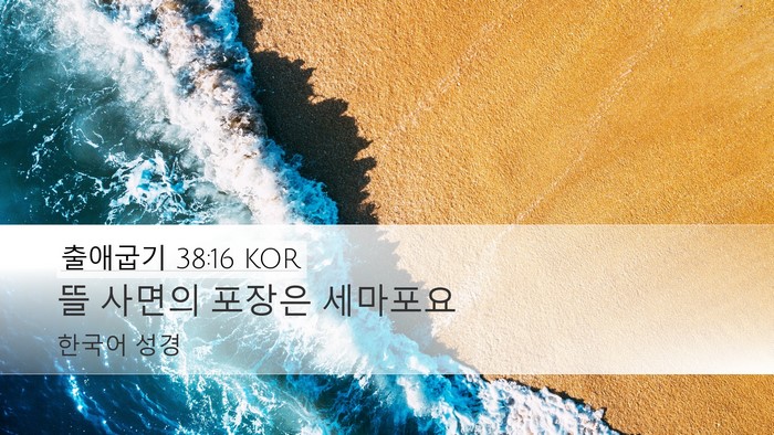 출애굽기 38:16 KOR Desktop Wallpaper - 뜰 사면의 포장은 - Desktop Bible Verse Wallpaper