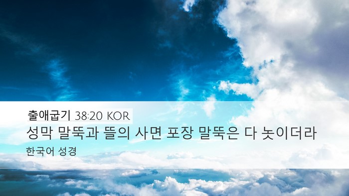 출애굽기 38:20 KOR Desktop Wallpaper - 성막 말뚝과 뜰의 사면 포장 말뚝은 - Desktop Bible Verse Wallpaper