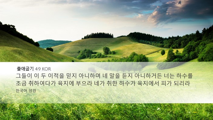 출애굽기 4:9 KOR Bible Verse Image