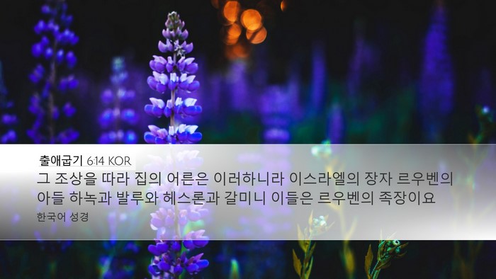 출애굽기 6:14 KOR Bible Verse Image