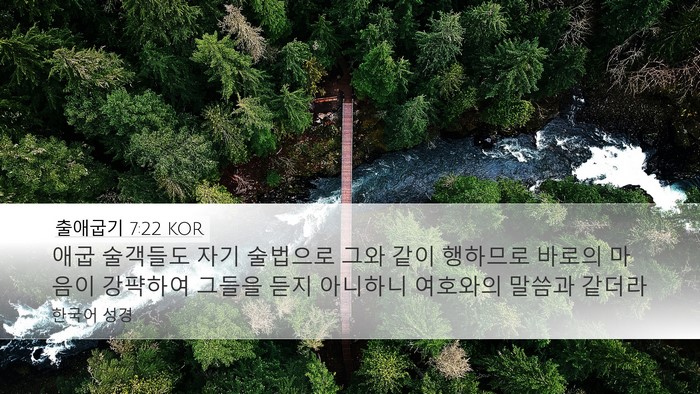 출애굽기 7:22 KOR Bible Verse Image