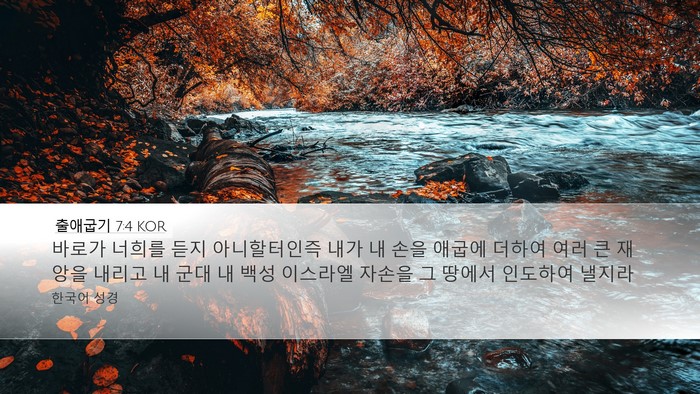 출애굽기 7:4 KOR Bible Verse Image