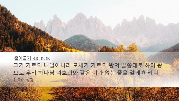 출애굽기 8:10 KOR Bible Verse Image