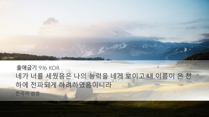 출애굽기 9:16 KOR Bible Verse Image