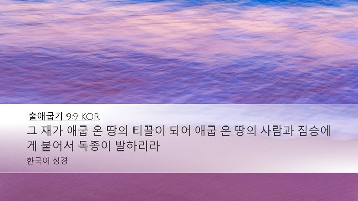 출애굽기 9:9 KOR Bible Verse Image