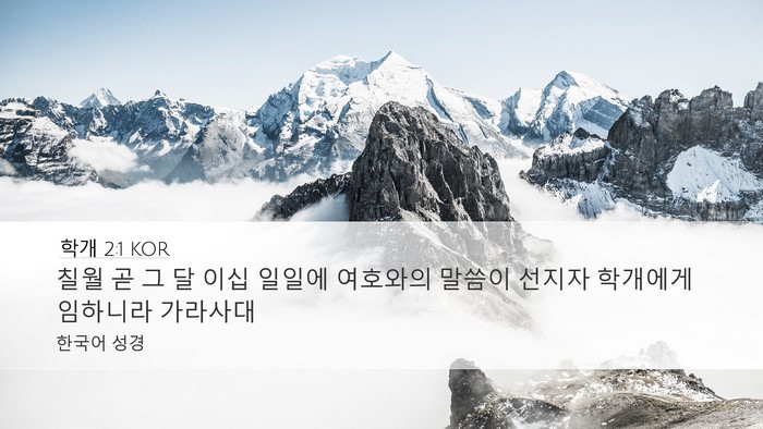학개 2:1 KOR Bible Verse Image