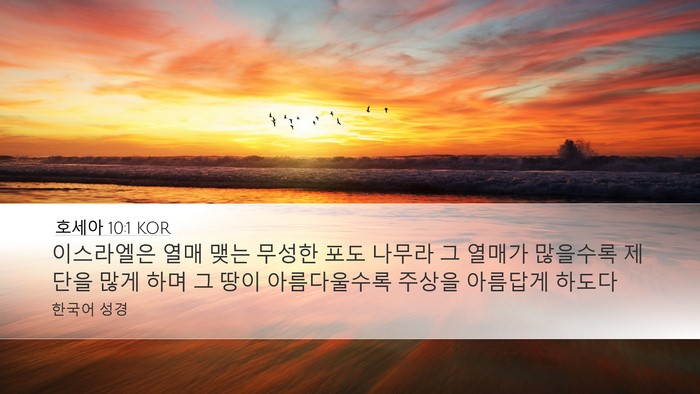 호세아 10:1 KOR Bible Verse Image