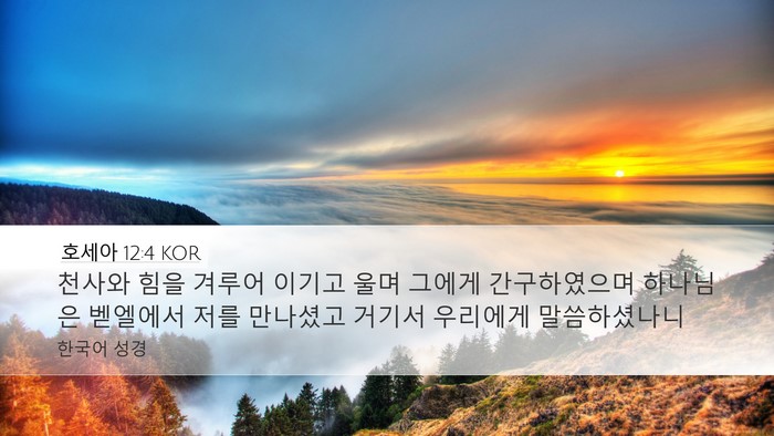 호세아 12:4 KOR Bible Verse Image