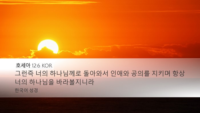호세아 12:6 KOR Bible Verse Image