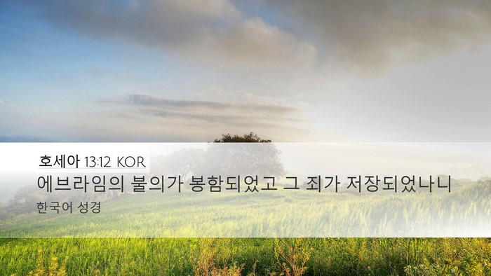 호세아 13:12 KOR Bible Verse Image