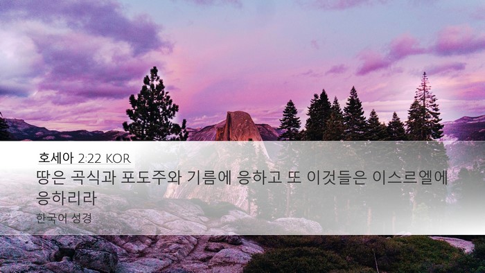 호세아 2:22 KOR Bible Verse Image