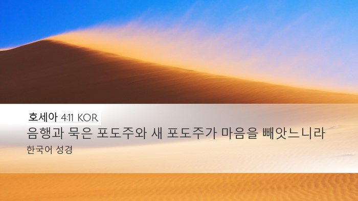 호세아 4:11 KOR Desktop Wallpaper - 음행과 묵은 포도주와 새 포도주가 - Desktop Bible Verse Wallpaper