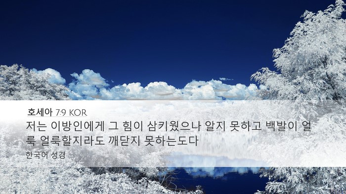 호세아 7:9 KOR Bible Verse Image