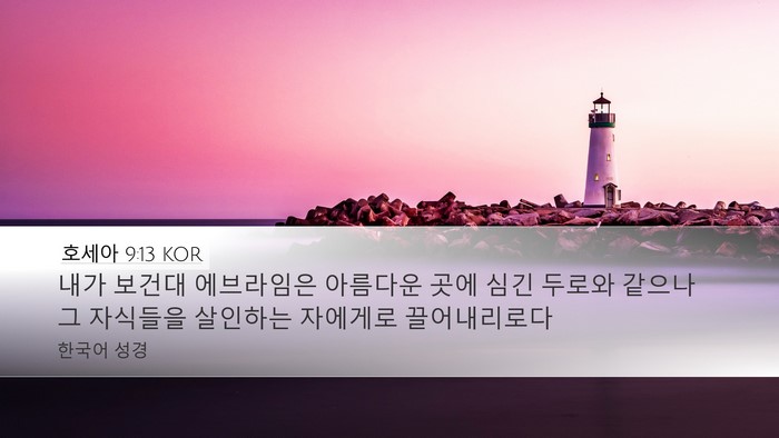 호세아 9:13 KOR Desktop Wallpaper - 내가 보건대 에브라임은 아름다운 - Desktop Bible Verse Wallpaper