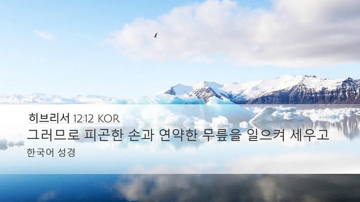히브리서 12:12 KOR Bible Verse Image