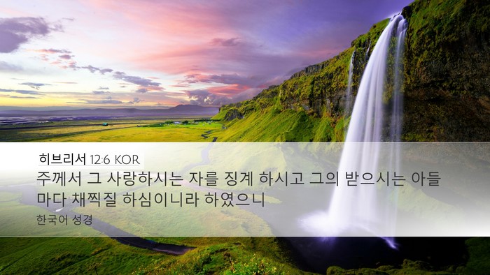 히브리서 12:6 KOR Bible Verse Image