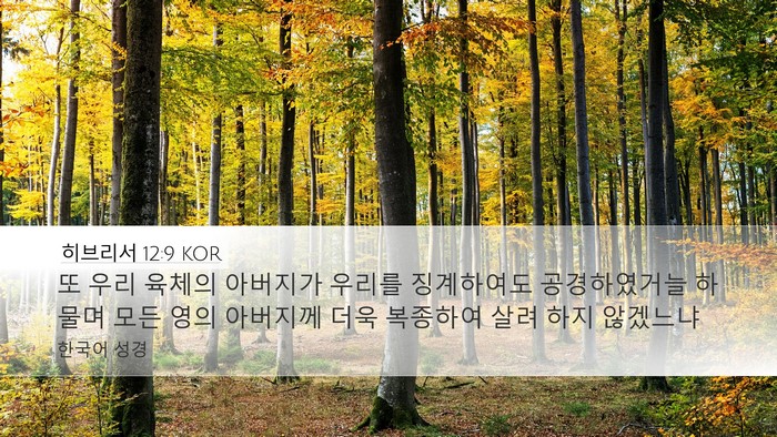 히브리서 12:9 KOR Bible Verse Image