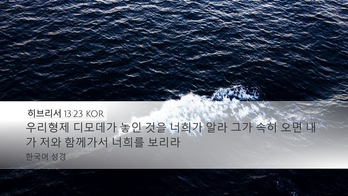 히브리서 13:23 KOR Bible Verse Image