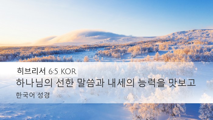 히브리서 6:5 KOR Bible Verse Image