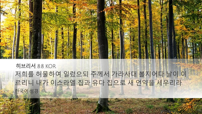 히브리서 8:8 KOR Bible Verse Image