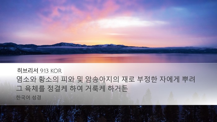 히브리서 9:13 KOR Bible Verse Image