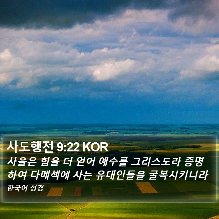 사도행전 9:22 KOR - 사울은 힘을 더 얻어 예수를