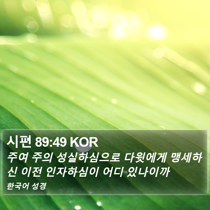 시편 89:49 KOR - 주여 주의 성실하심으로 다윗에게