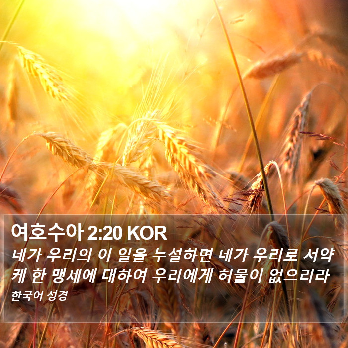 여호수아 2:20 KOR - 네가 우리의 이 일을 누설하면 네가