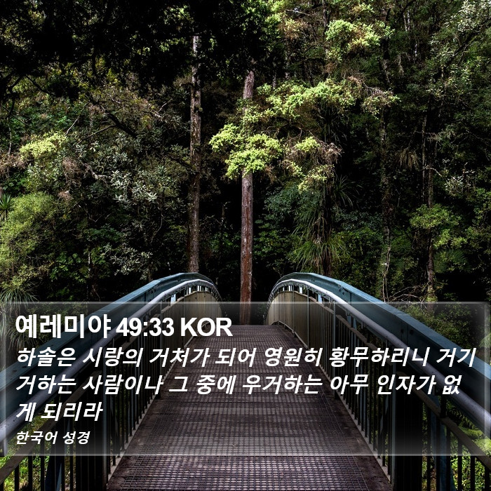 예레미야 49:33 KOR - 하솔은 시랑의 거처가 되어 영원히