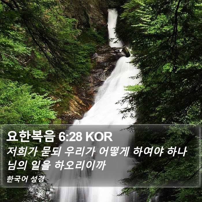 요한복음 6:28 KOR - 저희가 묻되 우리가 어떻게 하여야