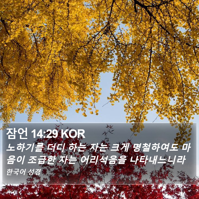 잠언 14:29 KOR - 노하기를 더디 하는 자는 크게