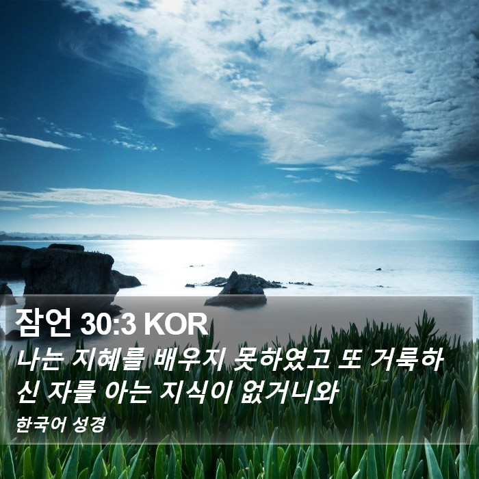 잠언 30:3 KOR - 나는 지혜를 배우지 못하였고 또