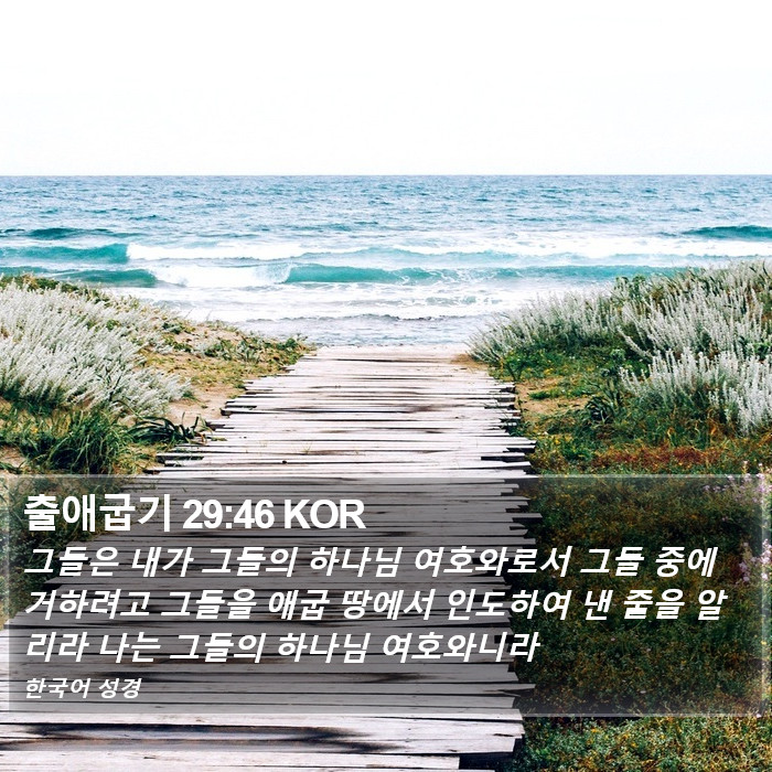 출애굽기 29:46 KOR - 그들은 내가 그들의 하나님